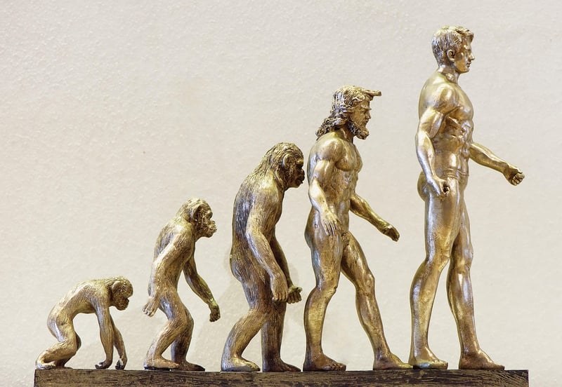 Evolutionary Theory